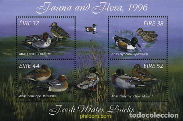 Sellos: 66804 MNH IRLANDA 1996 PATOS