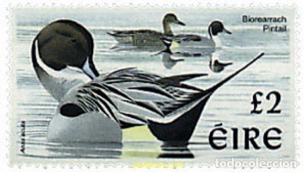 Sellos: 613100 MNH IRLANDA 1998 PAJAROS DE IRLANDA