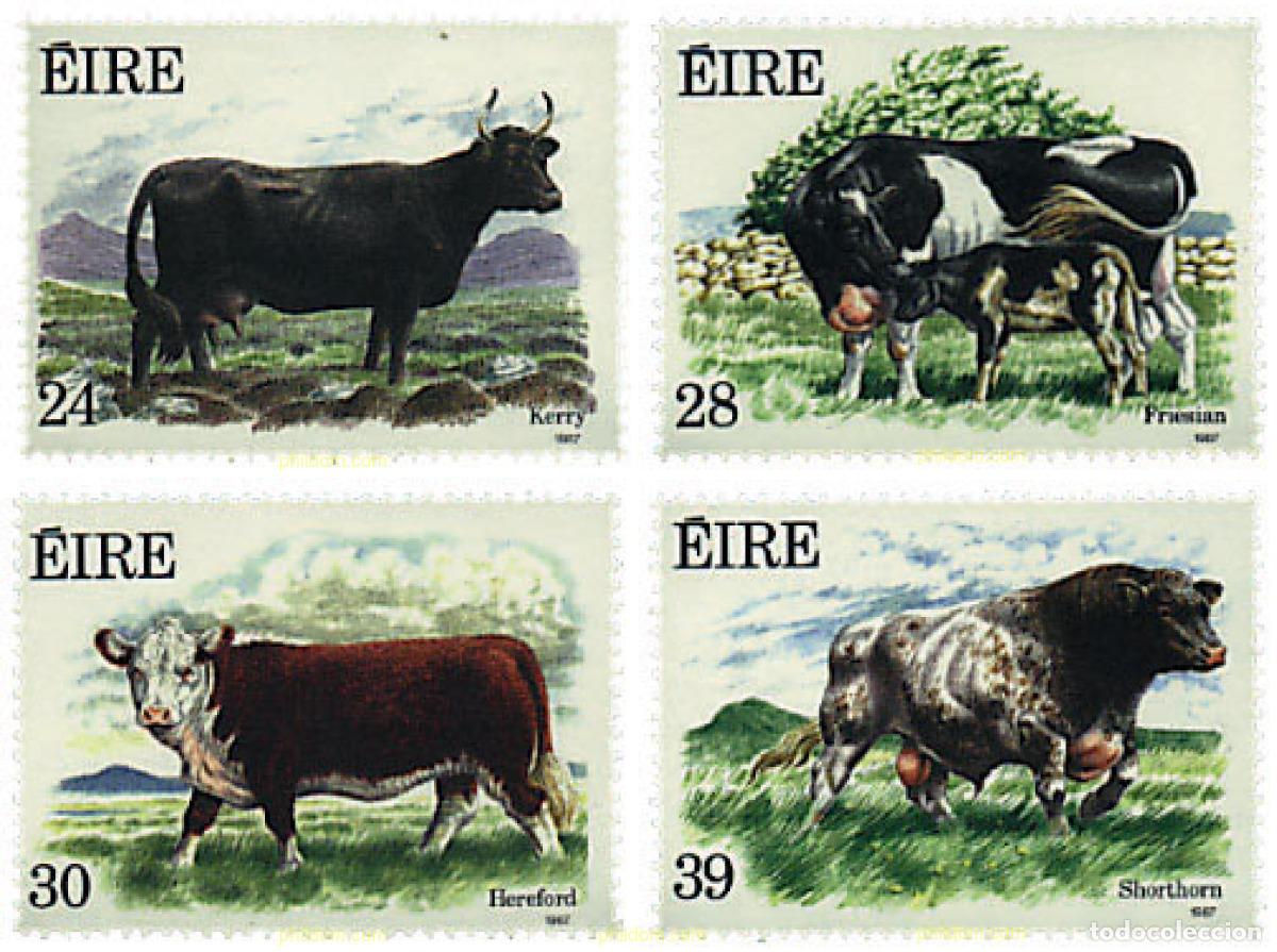 Sellos: 66728 MNH IRLANDA 1987 GANADERIA IRLANDESA