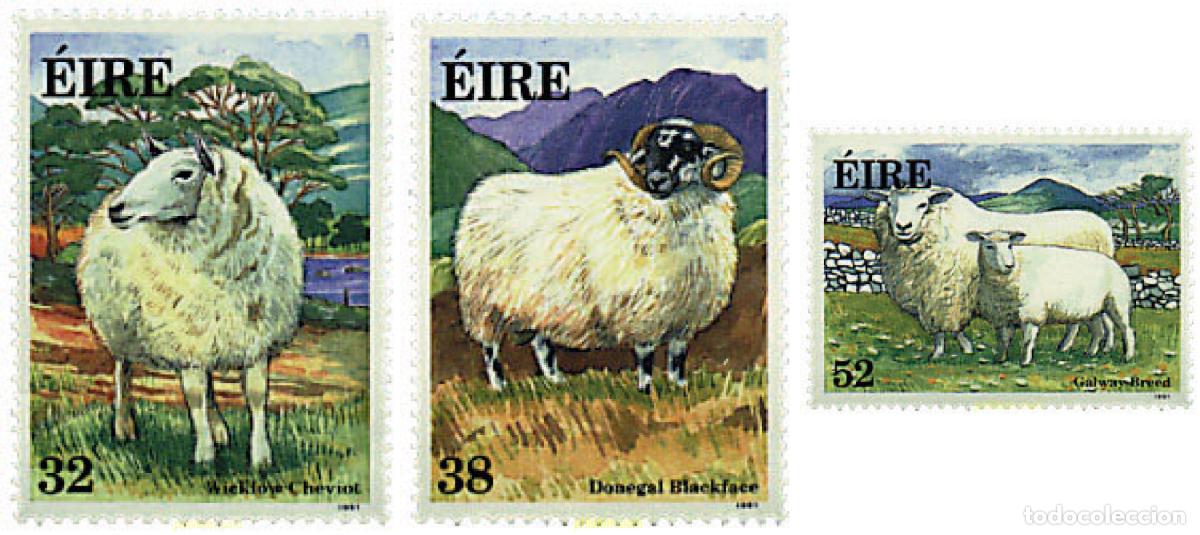 Sellos: 66755 MNH IRLANDA 1991 OVEJAS