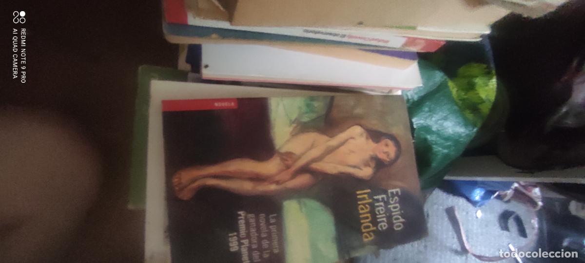 Sellos: Espido Freire. Irlanda