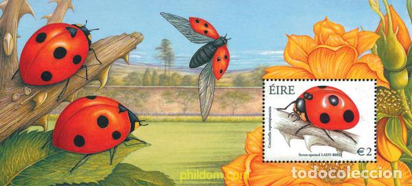 Timbres: 120490 MNH IRLANDA 2003 INSECTOS