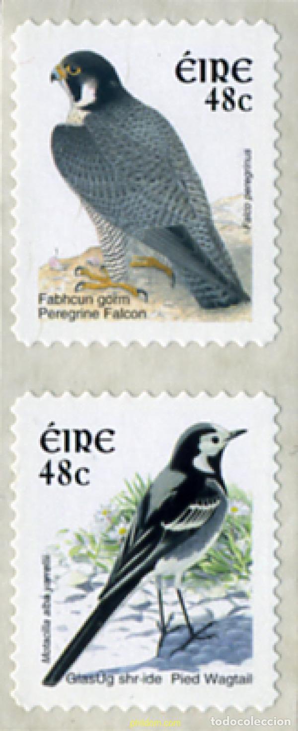 Sellos: 327350 MNH IRLANDA 2003 PAJAROS DE IRLANDA