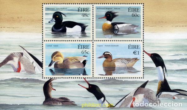 Selos: 147339 MNH IRLANDA 2004 PATOS