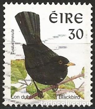 Sellos: Irlanda 1998 - Mi 1051 IyC - YT 1058c - P&aacute;jaro : Mirlo