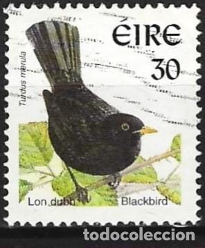 Sellos: Irlanda 1998 - Mi 1051 IyC - YT 1058 c - Ave : Mirlo negro ( c = Con marco fosforescent )