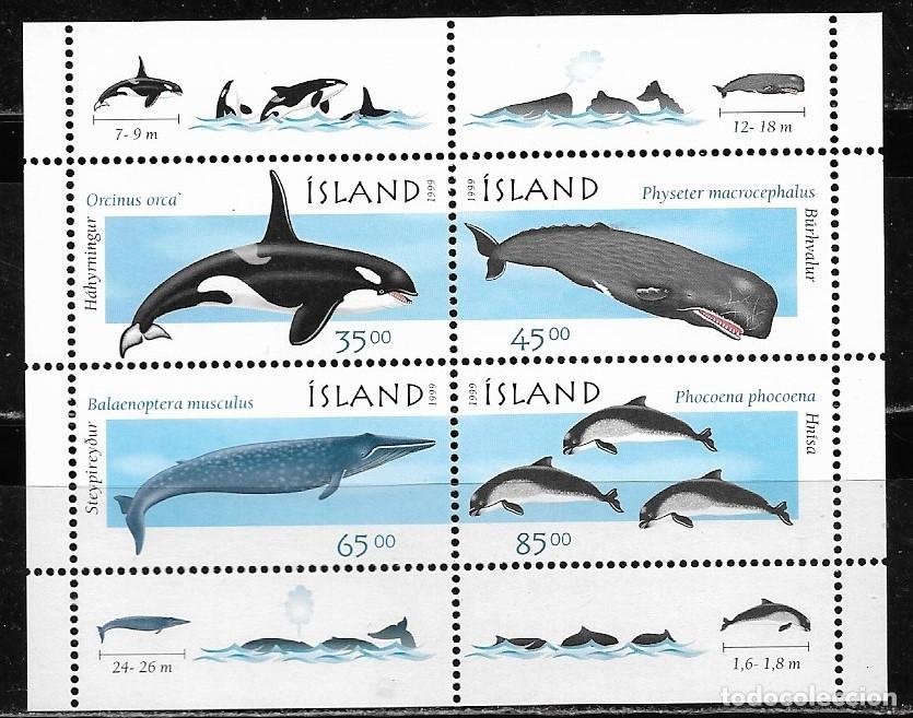 Sellos: ISLANDIA 1999, HOJA BLOQUE Ivert 23 - FAUNA CETACEOS. MNH.