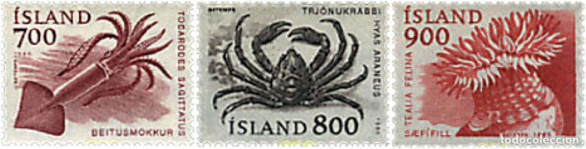 Sellos: 66901 MNH ISLANDIA 1985 FAUNA MARINA