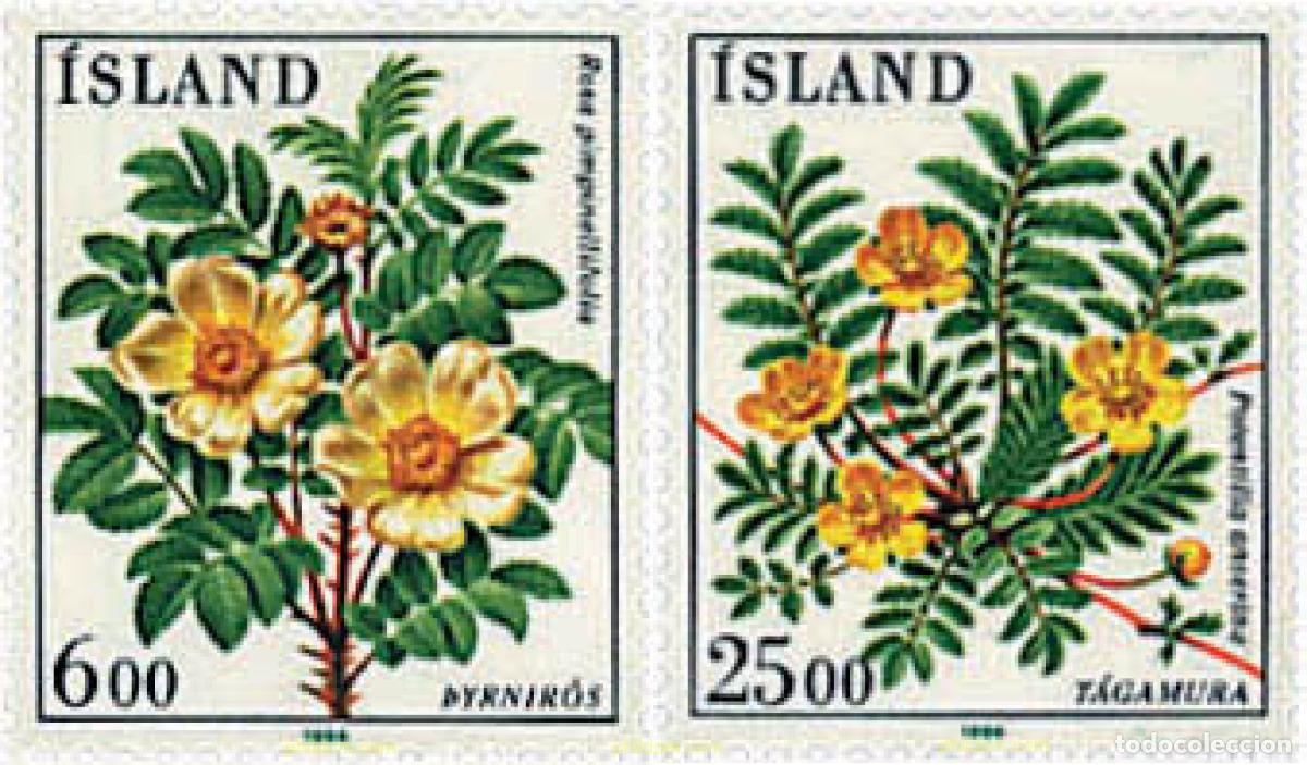 Sellos: 90870 MNH ISLANDIA 1984 FLORA DE ISLANDIA