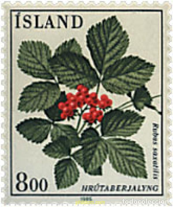 Sellos: 340708 MNH ISLANDIA 1985 FLORA DE ISLANDIA