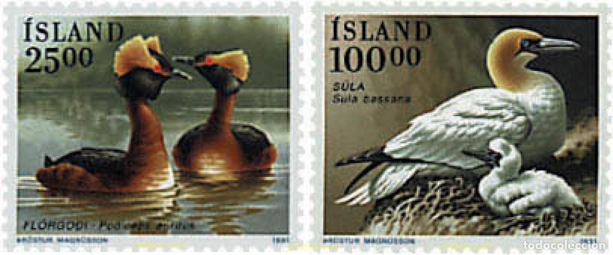 Sellos: 66915 MNH ISLANDIA 1991 AVES