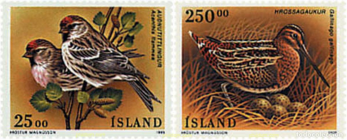 Sellos: 66927 MNH ISLANDIA 1995 AVES