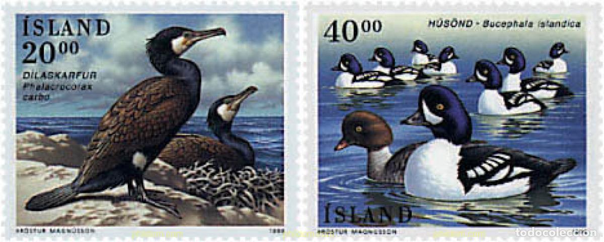 Sellos: 36675 MNH ISLANDIA 1996 AVES