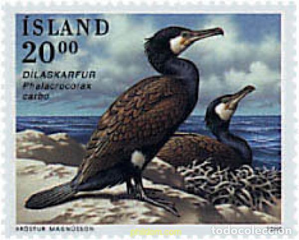 Sellos: 273011 MNH ISLANDIA 1996 AVES