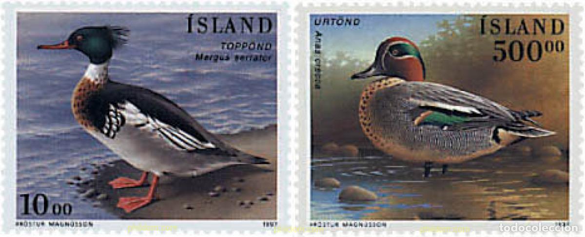 Sellos: 66932 MNH ISLANDIA 1997 PATOS