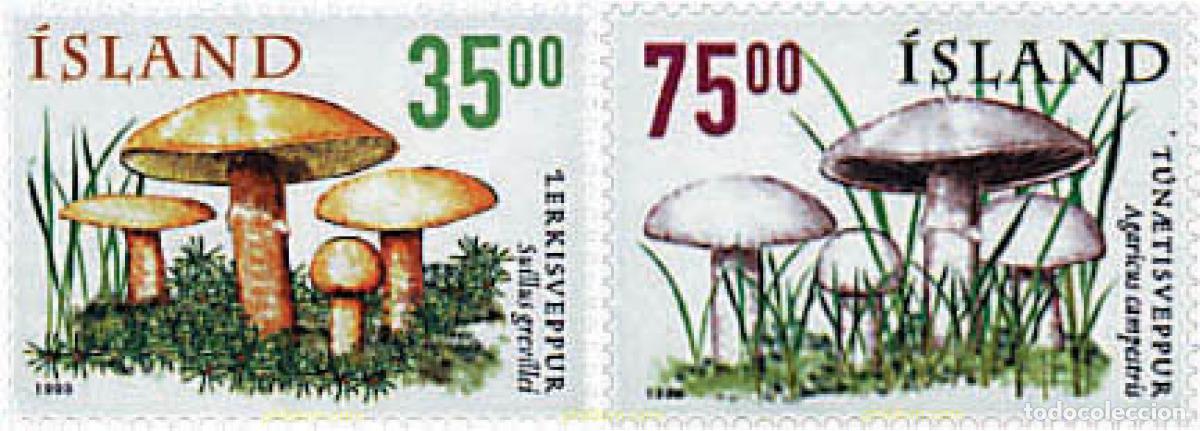 Sellos: 40295 MNH ISLANDIA 1999 SETAS