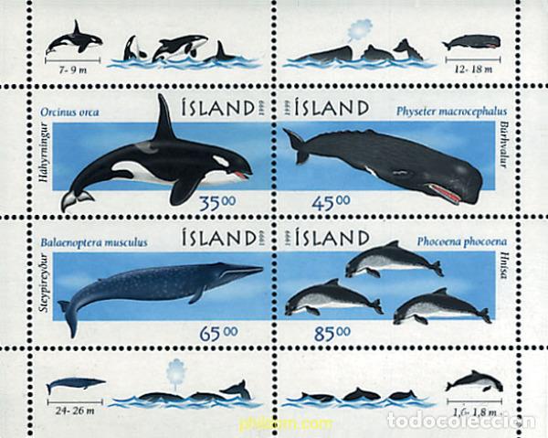 Sellos: 40296 MNH ISLANDIA 1999 CETACEOS