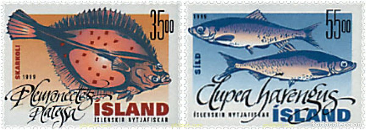 Sellos: 66938 MNH ISLANDIA 1999 PECES