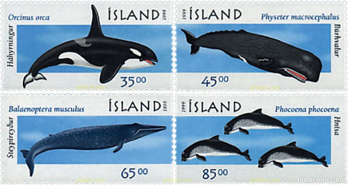 Sellos: 66713 MNH ISLANDIA 1999 CETACEOS
