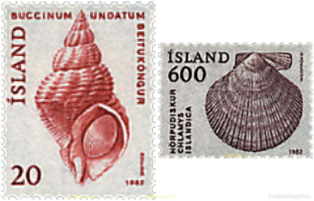 Sellos: 66895 MNH ISLANDIA 1982 CONCHAS