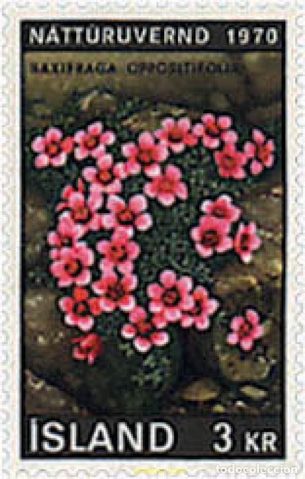 Sellos: 267577 MNH ISLANDIA 1970 A&Ntilde;O DE LA CONSERVACION DE LA NATURALEZA