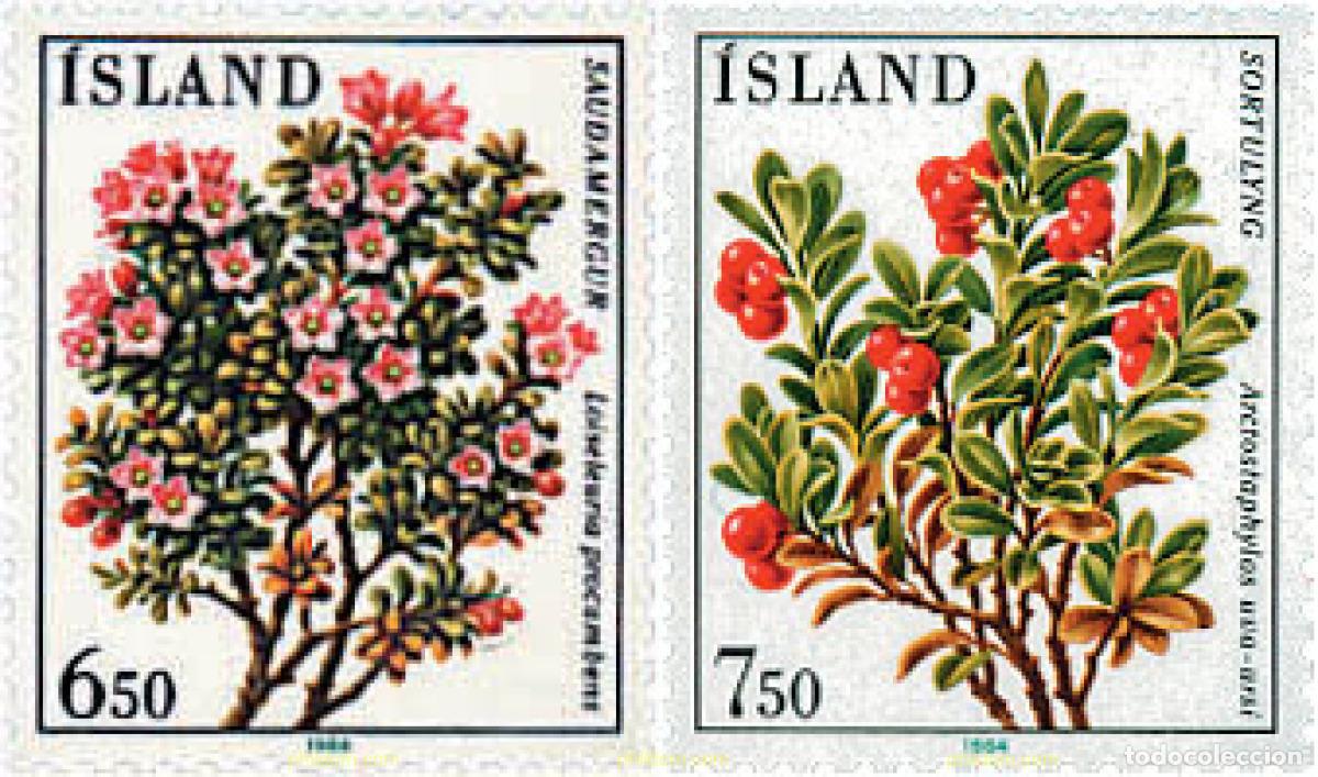 Sellos: 90736 MNH ISLANDIA 1984 FLORA DE ISLANDIA