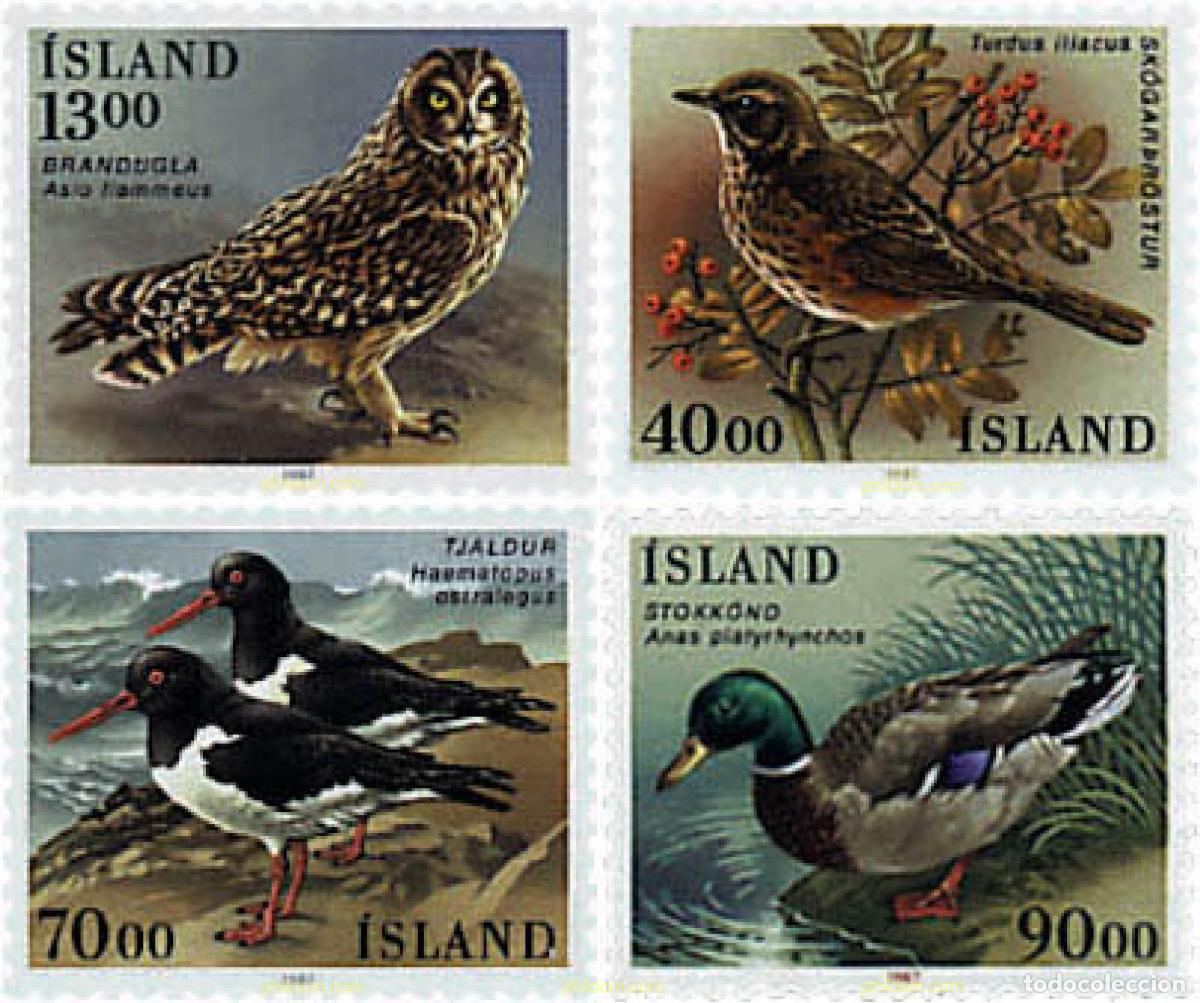 Sellos: 66906 MNH ISLANDIA 1987 AVES