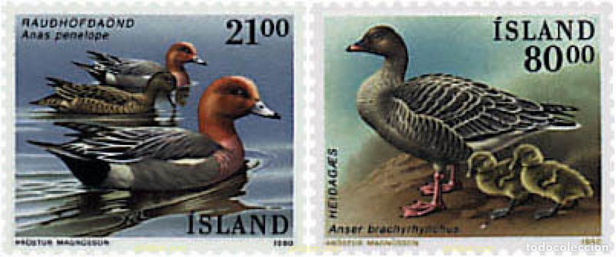 Sellos: 66912 MNH ISLANDIA 1990 AVES