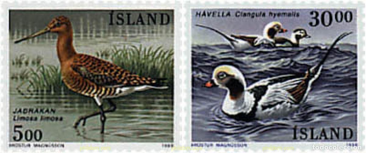 Sellos: 66909 MNH ISLANDIA 1988 AVES