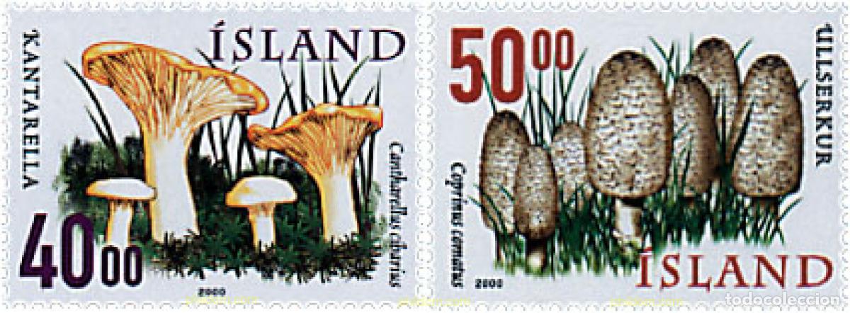 Selos: 49219 MNH ISLANDIA 2000 SETAS