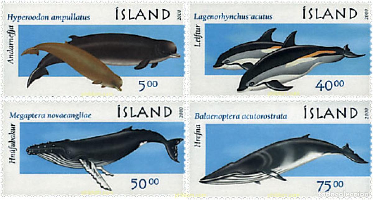 Sellos: 56004 MNH ISLANDIA 2000 MAMIFEROS MARINOS