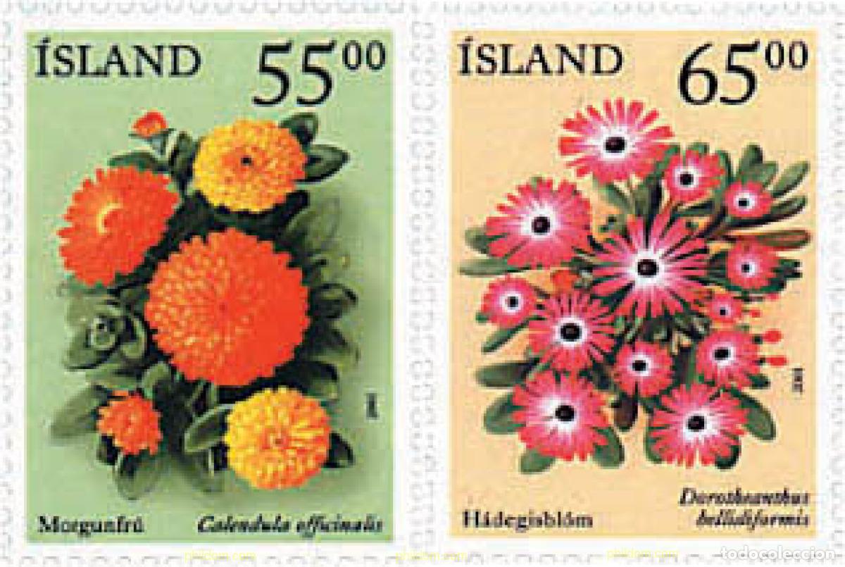 Francobolli: 90738 MNH ISLANDIA 2001 FLORES