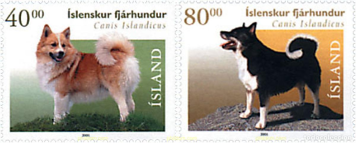 Sellos: 81273 MNH ISLANDIA 2001 PERROS