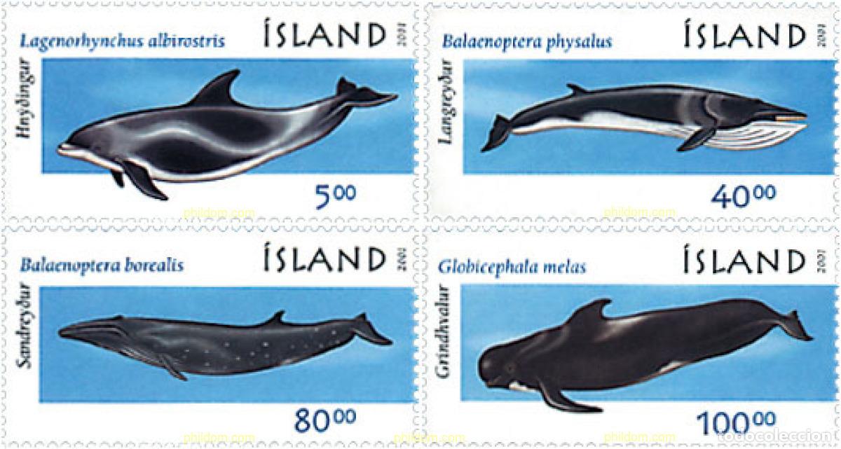 Sellos: 81275 MNH ISLANDIA 2001 BALLENA