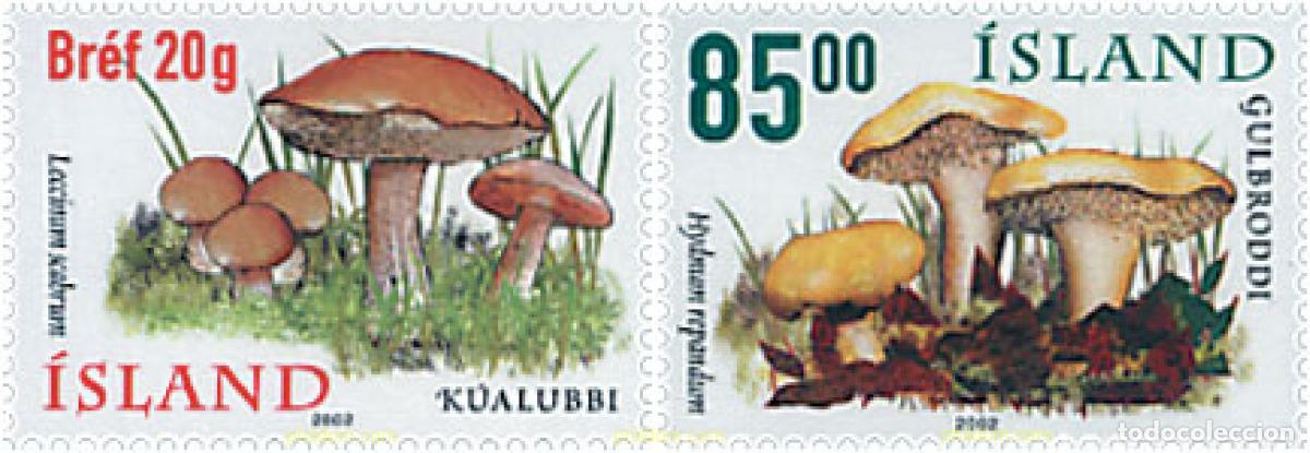 Timbres: 87246 MNH ISLANDIA 2002 SETAS