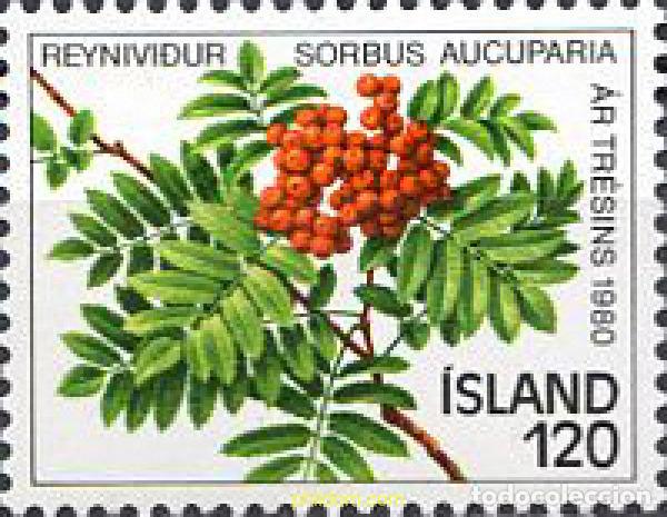 Briefmarken: 101311 MNH ISLANDIA 1980 A&Ntilde;O DEL ARBOL