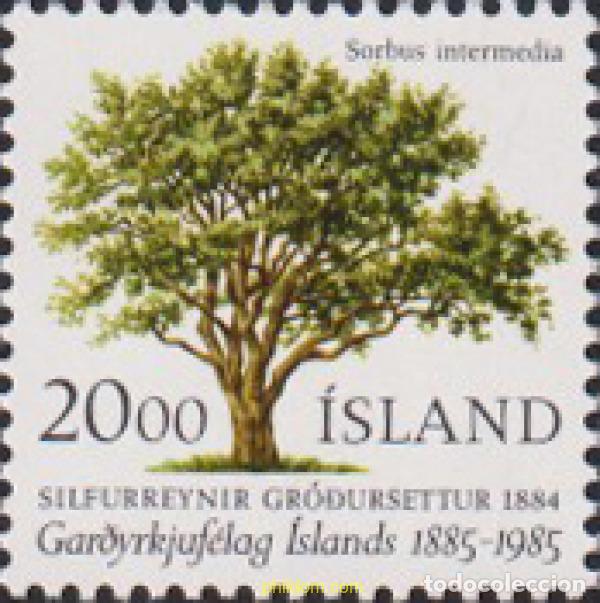 Briefmarken: 101368 MNH ISLANDIA 1985 ARBOLES