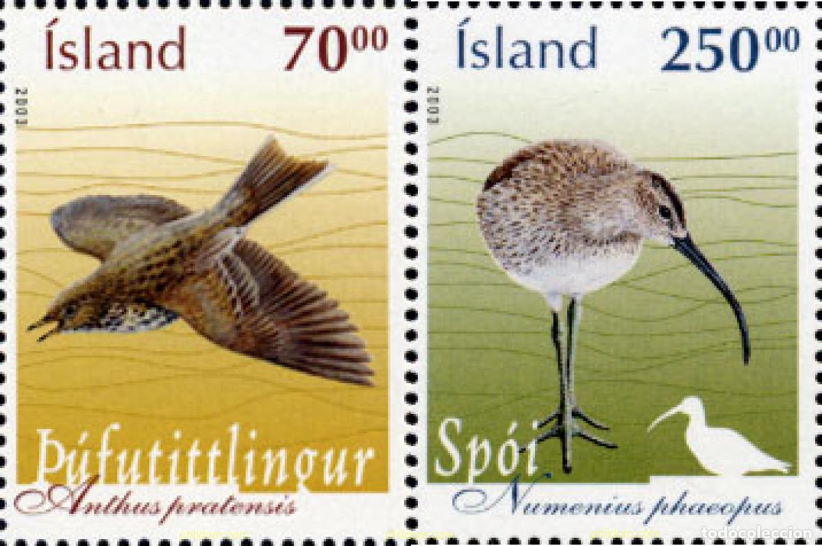Sellos: 132347 MNH ISLANDIA 2003 AVES