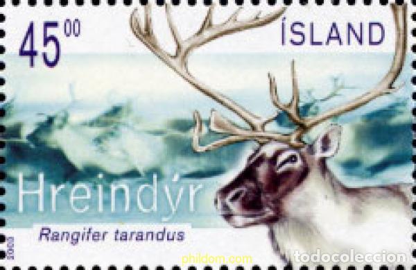Sellos: 136313 MNH ISLANDIA 2003 EL RENO