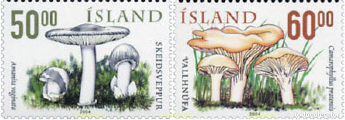 Sellos: 153266 MNH ISLANDIA 2004 SETAS