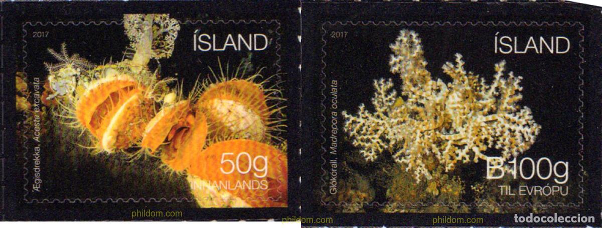 Sellos: 592519 MNH ISLANDIA 2017 ECOSISTEMA DEL LECHO MARINO ISLANDES