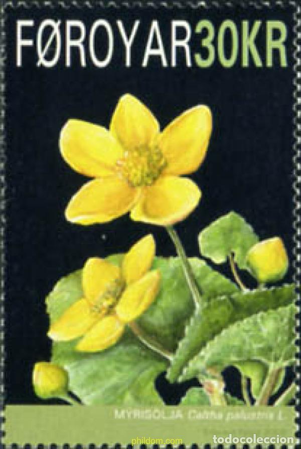 Sellos: 215703 MNH FEROE 2008 FLOR - Foto 1