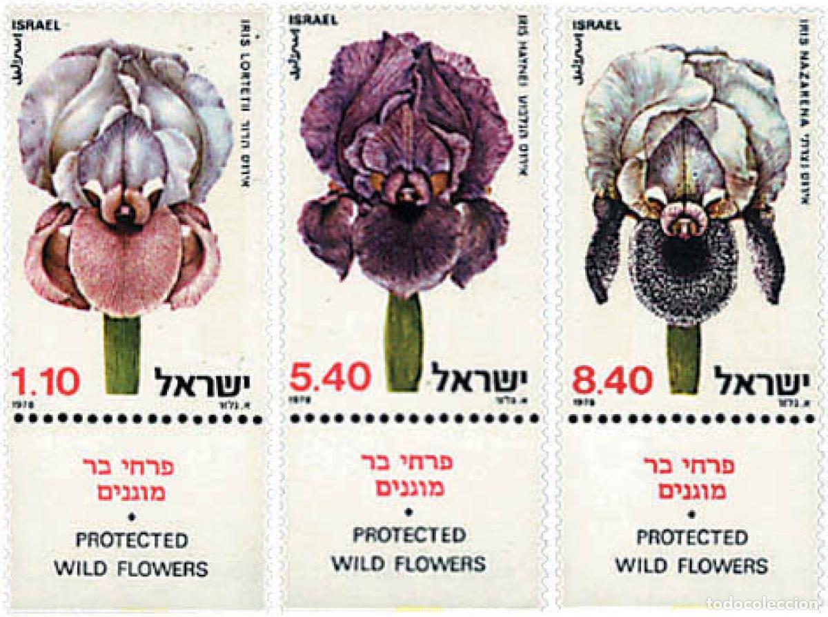 Sellos: 328244 MNH ISRAEL 1978 FLORES SILVESTRES DE ISRAEL