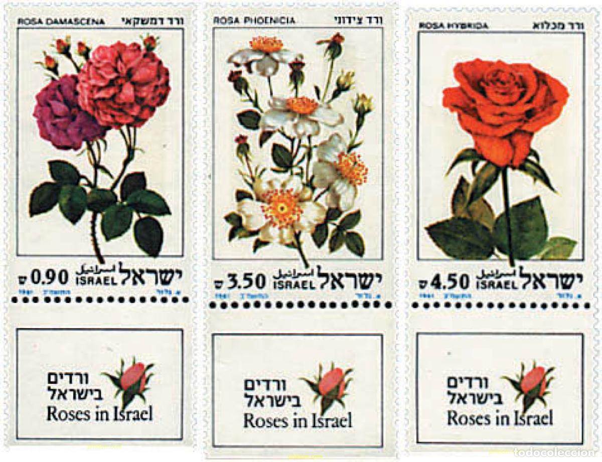 Sellos: 328278 MNH ISRAEL 1981 ROSAS DE ISRAEL