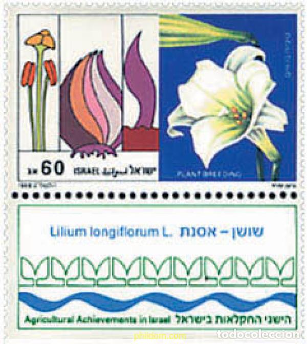 Sellos: 292309 MNH ISRAEL 1988 REALIZACIONES DE LA AGRICULTURA ISRAELI