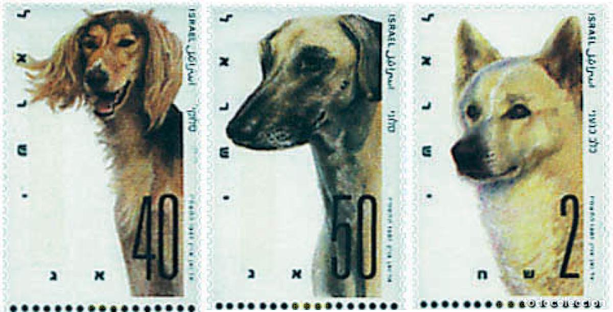 Sellos: 47621 MNH ISRAEL 1987 EXPOSICION CANINA INTERNACIONAL DE ISRAEL