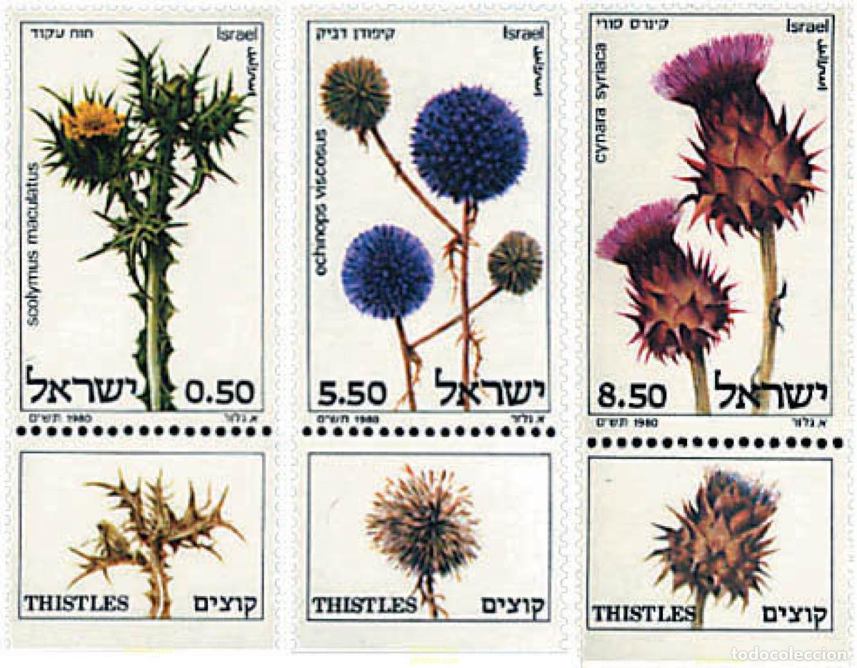 Selos: 328261 MNH ISRAEL 1980 FLORA DE ISRAEL