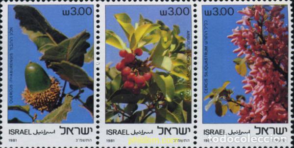 Selos: 158275 MNH ISRAEL 1981 FLORES