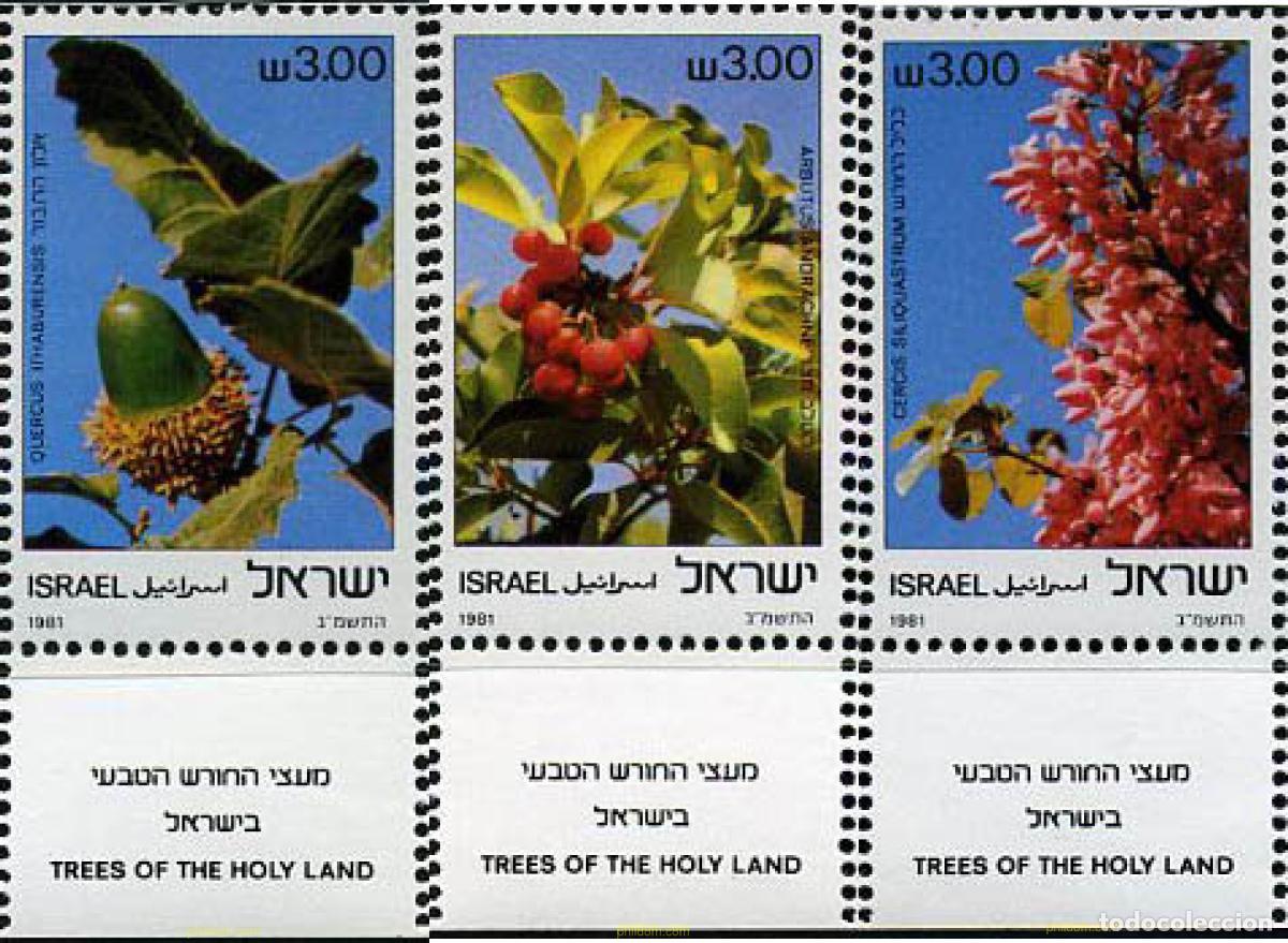 Selos: 328281 MNH ISRAEL 1981 FLORES