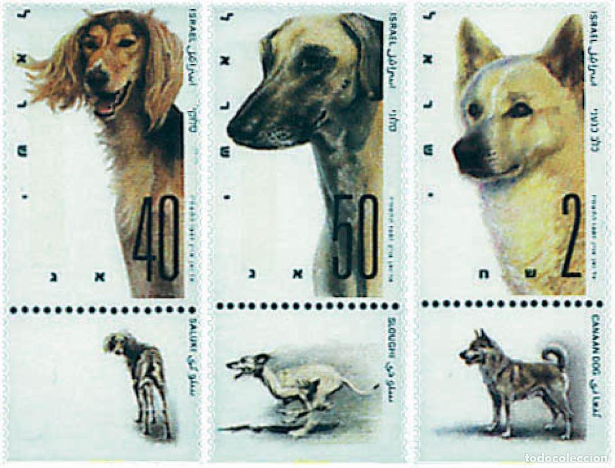 Sellos: 328360 MNH ISRAEL 1987 EXPOSICION CANINA INTERNACIONAL DE ISRAEL